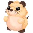 Muskrat
