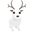 Arctic Reindeer
