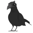 Crow