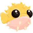Puffer Fish