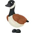 Canada Goose
