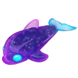Glormy Dolphin