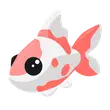 Koi Carp