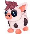 Mini Pig