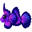 Singularity Pisces