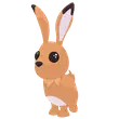 Hare