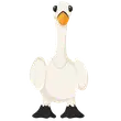 Swan