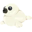 Harp Seal
