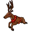 Reindeer