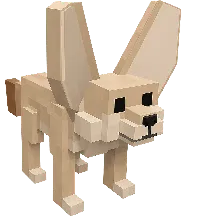 Fennec Fox
