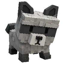Raccoon