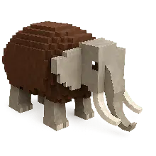 Cocofanto Elefanto