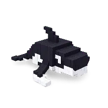 Orcalero Orcala