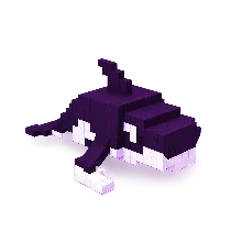 Orcalero Orcala