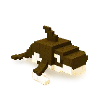 Orcalero Orcala