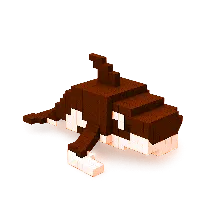 Orcalero Orcala